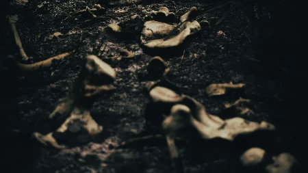 U Savi pronađene ljudske kosti