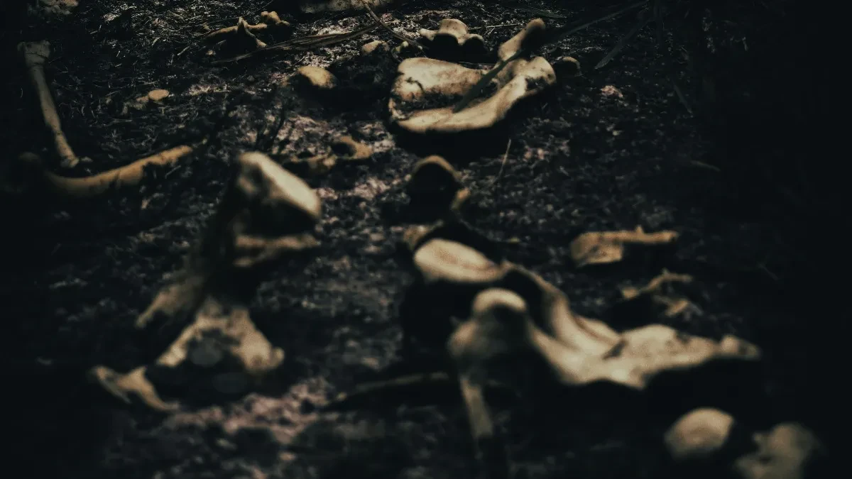 U Savi pronađene ljudske kosti