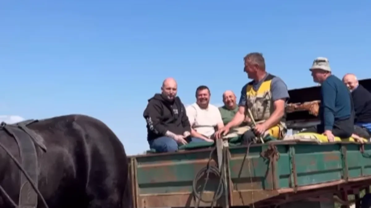 Konjska snaga i jagnjeća bajka: Pogledajte kako su gradiški momci proslavili prve sunčane dane (VIDEO)