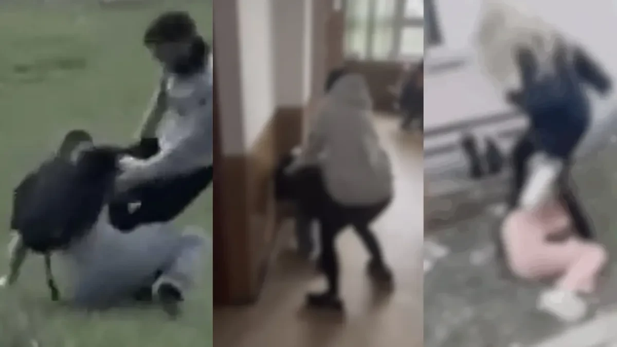 Zakon na papiru, nasilje u klupama: Zašto prebacivanje djeteta u drugu školu nije rješenje?