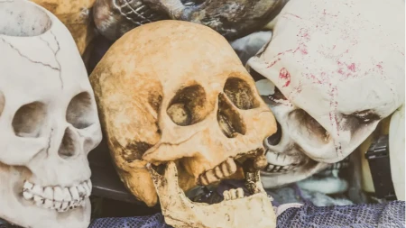 Horor u parku: Ljudska lobanja pronađena tokom potrage za uskršnjim jajima