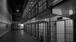 Husi B. iz BiH prijeti 10 godina zatvora