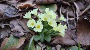 Hladna jutra ne popuštaju: Saznajte gdje se sutra očekuju minusi i kakva nas promjena čeka pred noć