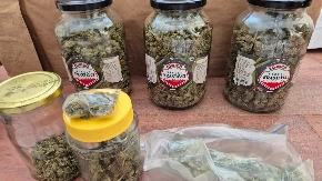 Marihuanu krio u teglama od krastavaca: U akciji „Dalton“ uhapšen Prijedorčanin