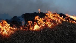 Evakuisano oko 3.500 ljudi u Italiji, vatra guta stotine hektara