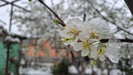 Očekuje nas snijeg u maju: Meteorolozi otkrili kada stiže promjena vremena