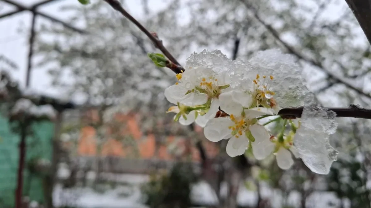 Očekuje nas snijeg u maju: Meteorolozi otkrili kada stiže promjena vremena