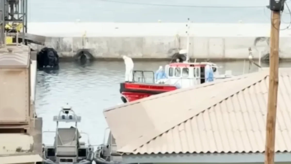Počela evakuacija putnika sa kruzera pogođenog hantavirusom
