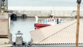 Počela evakuacija putnika sa kruzera pogođenog hantavirusom