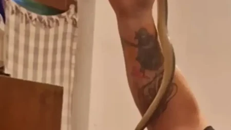Horor u porodičnoj kući: Vladica iz ormara izvukao zmiju (VIDEO)