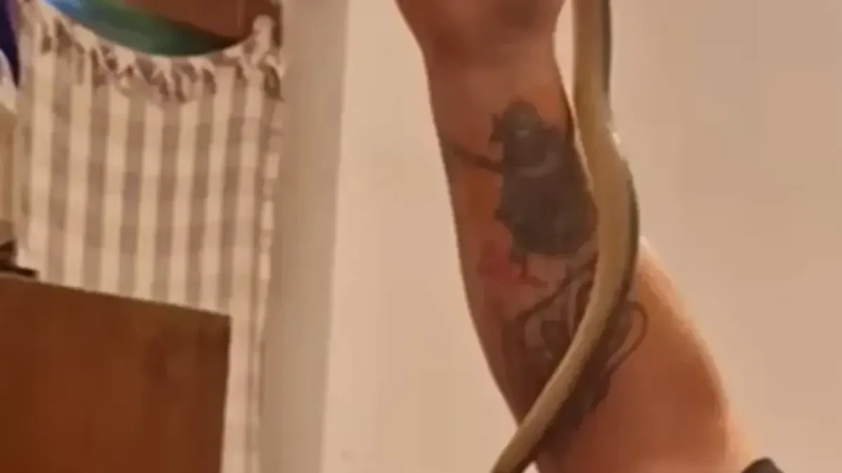 Horor u porodičnoj kući: Vladica iz ormara izvukao zmiju (VIDEO)