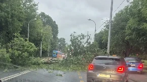 Snažno nevrijeme u Zagrebu: Vjetar nosio sve pred sobom, saobraćaj obustavljen (VIDEO)