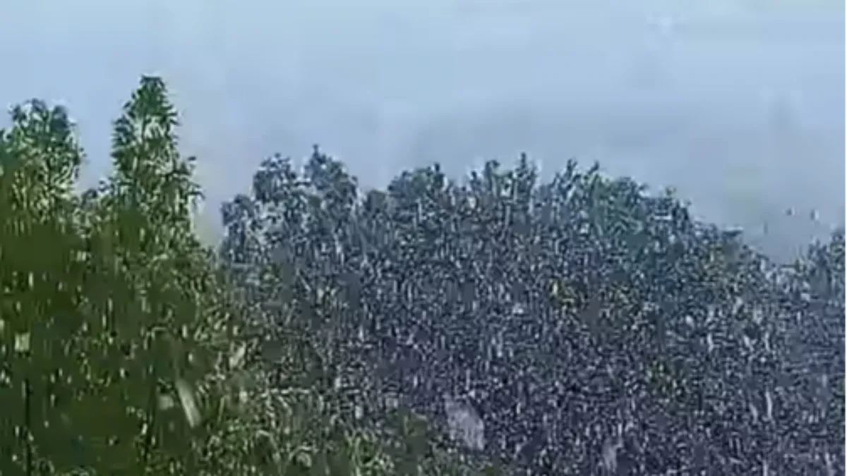 Šok u Cazinu: Prije nekoliko sati bilo 20 stepeni, a sada pada snijeg (VIDEO)