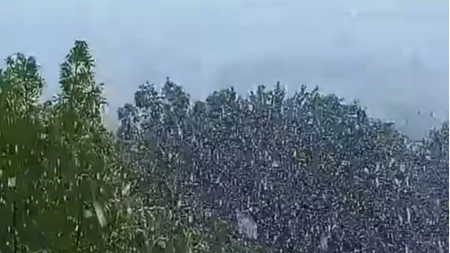 Šok u Cazinu: Prije nekoliko sati bilo 20 stepeni, a sada pada snijeg (VIDEO)