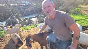Zoran Macan (73) traži treću ženu: Bez jedne noge čuva 150 ovaca, a uz sve to i trenira (VIDEO) 