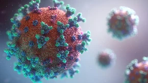 Kanađanin pozitivan na hantavirus