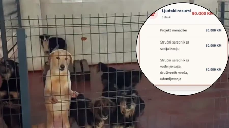 Volonteri ogorčeni, Perišić ne pristaje na uslovljavanje: Kako je 300.000 KM za azil na Manjači postalo privatni porodični biznis Mile Šarić? 