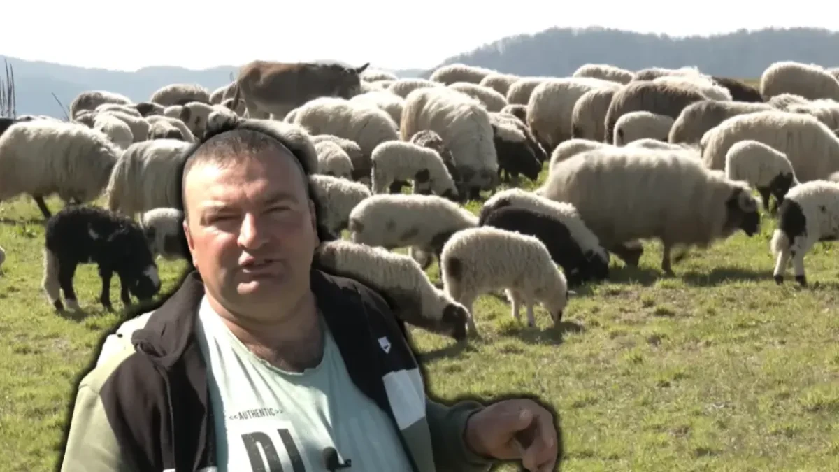 Priča samohranog oca iz sela kod Banjaluke: Od ovčarstva školuje djecu i čuva porodično ognjište (FOTO/VIDEO)