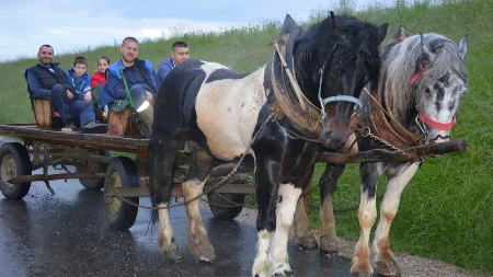 Kasom kroz uspomene: Konjski topot se ponovo čuje u Lijevče polju