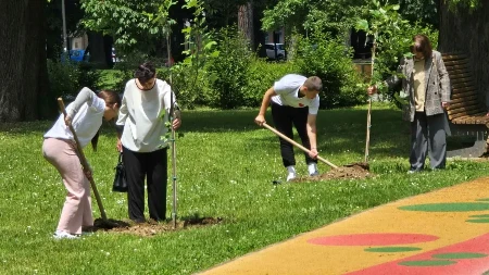 „Aleja 12 beba“ u Banjaluci: Svako stablo čuva uspomenu na jednu malu žrtvu