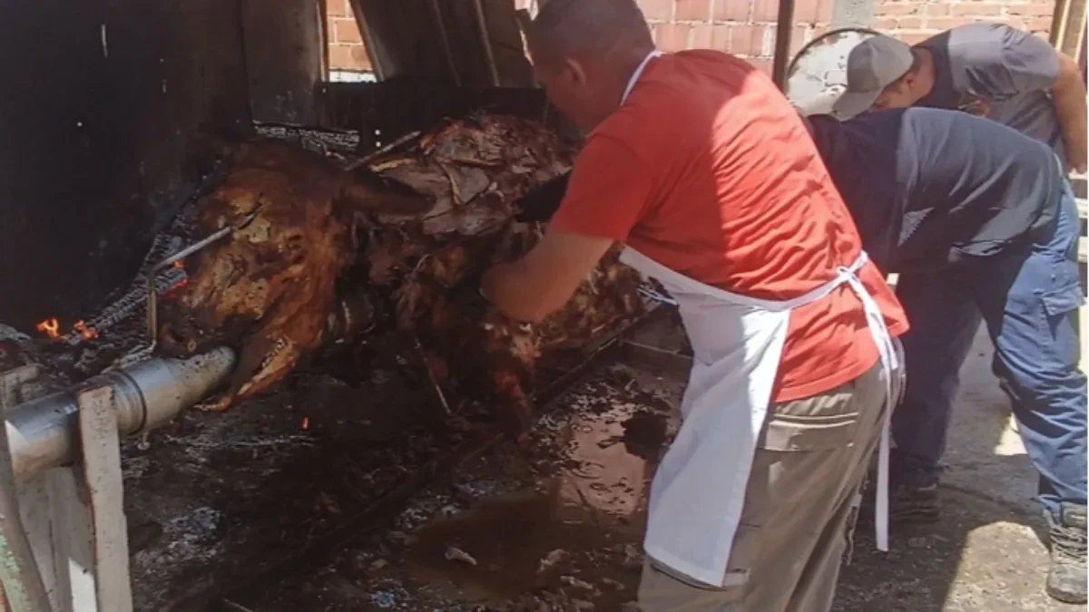 Više od 1.000 ljudi degustiralo bika teškog 808 kilograma i pečenog 24 časa