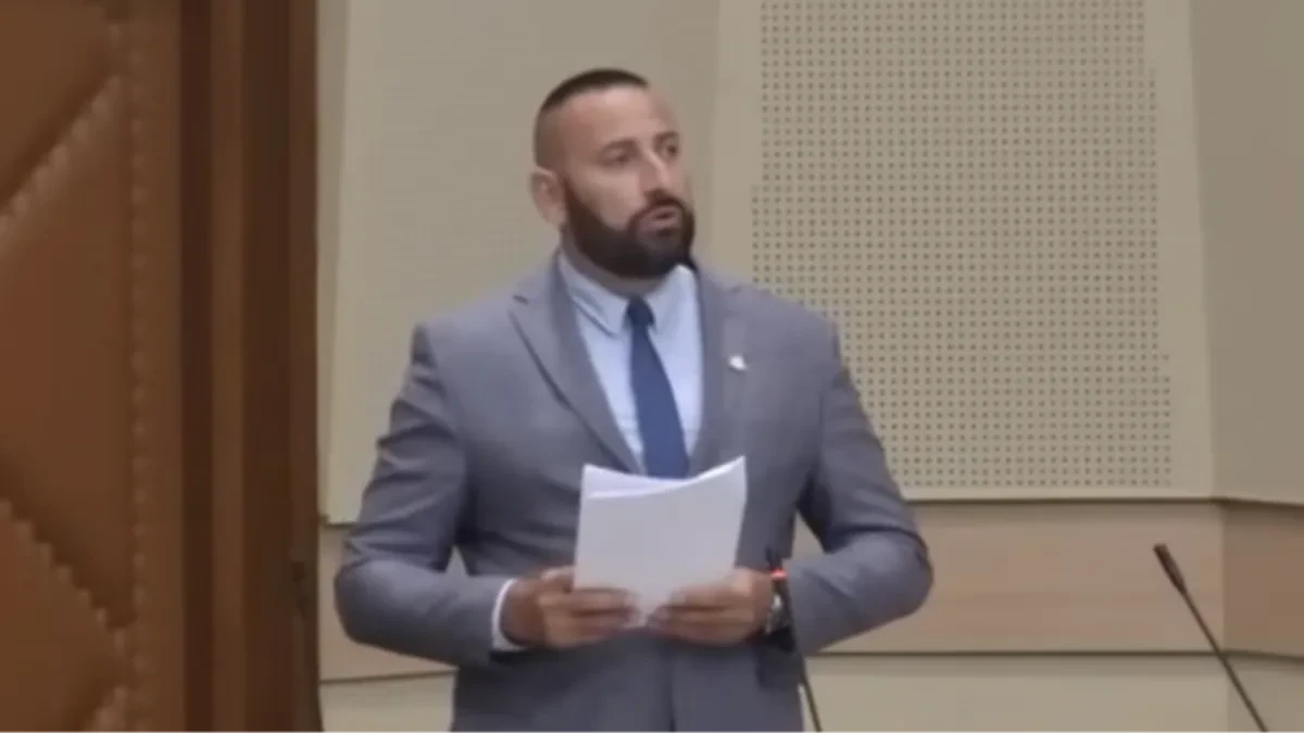 Savanović: Umjesto grad zelenila, Banjaluka se pretvorila u grad zelenaša