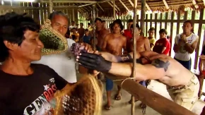 Ritual od kojeg se okreće želudac: Dječaci prolaze stravične bolove zbog jedne stvari (VIDEO) 
