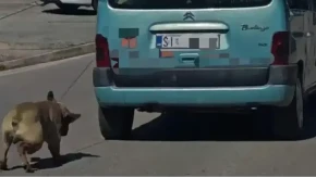 Region zgrožen snimkom: Vezao psa za auto i vukao ga kroz grad