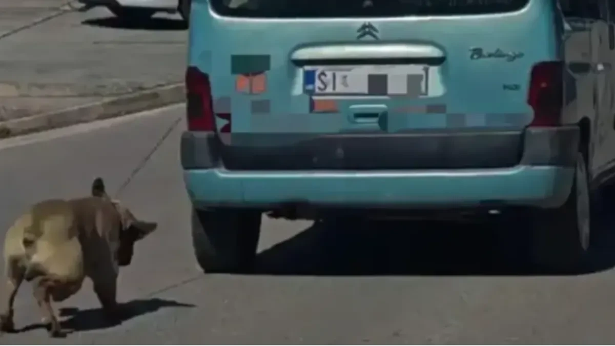 Region zgrožen snimkom: Vezao psa za auto i vukao ga kroz grad