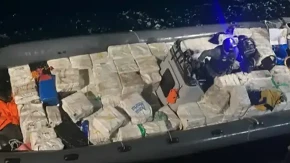 Pao veliki narko-lanac: Zaplijenjene tone kokaina i hašiša, desetine uhapšenih