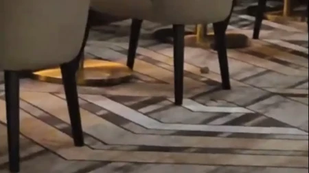 Miševi trčkaraju u restoranu Gordona Remzija: Snimak zapalio internet (VIDEO)