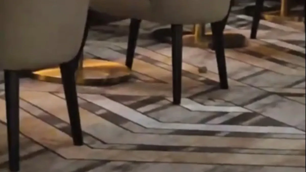 Miševi trčkaraju u restoranu Gordona Remzija: Snimak zapalio internet (VIDEO)