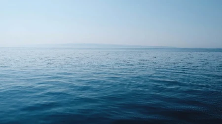 Impresivan prizor na Jadranu: Pojavio se veliki kit u punoj veličini