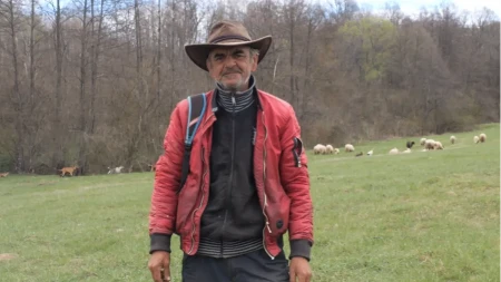 "U Njemačkoj sam radio kao rob, a u Bosni sam svoj gazda": Ivica zamijenio bauštelu stadom ovaca (VIDEO)