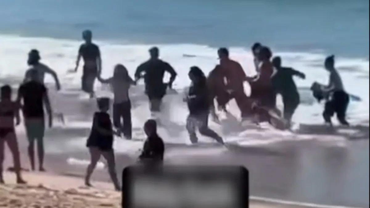 Ajkula napala ženu: Pojavio se jeziv snimak (VIDEO)