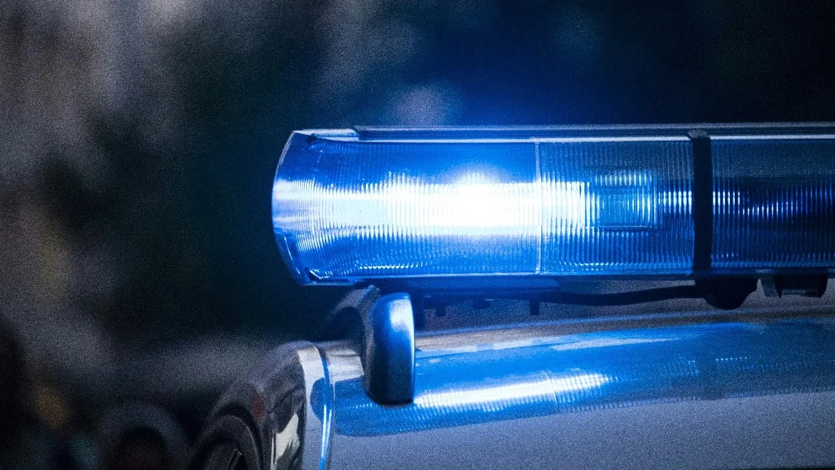 Šok u Češkoj: Dvanaestogodišnjakinja rodila dijete, otac je njen stariji brat