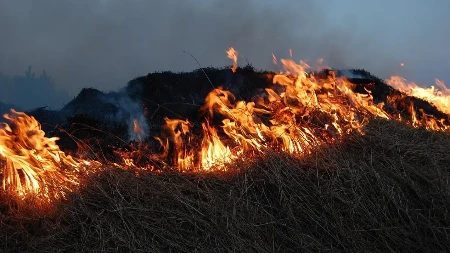 Ugašen veliki požar na Buni kod Mostara