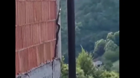 Nevjerovatan prizor: Zmija se penje uz zid stambene kuće (VIDEO)