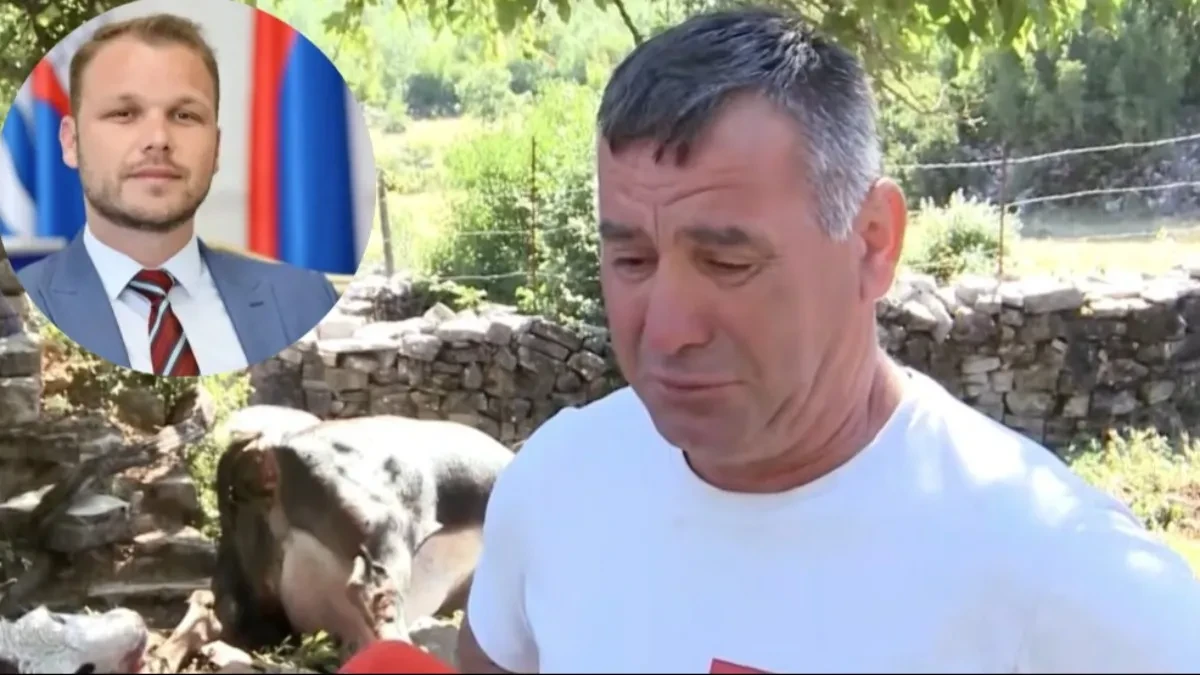 Stanivuković obećao pomoć: Porodici Brčić iz Bileće grom usmrtio pet krava