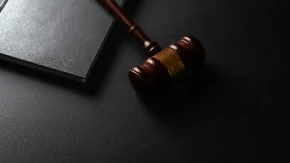 Tužiteljka Jasminka Knežević osuđena na godinu dana zatvora
