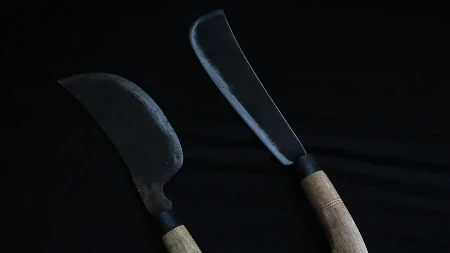 Nasilje u školi kod Valensije: Maloljetnici sa mačetom napali učenicu
