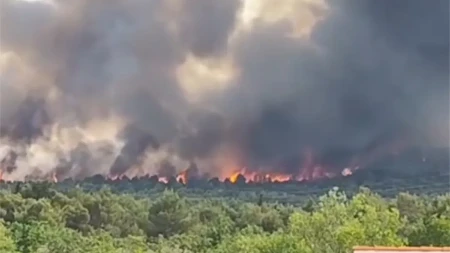 Udari munja izazvali požare kod Šibenika, podignuti kanaderi (VIDEO)