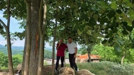Grom napravio ogromnu štetu: Porodica iz okoline Zvornika ostala bez velikog dijela stada (FOTO)