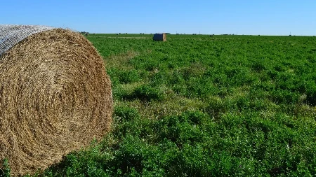 Tragedija u Odžaku: Osoba preminula nakon što je na nju pala rolo bala