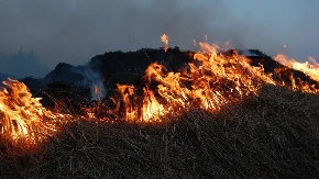 Požar koji je izbio u Crnoj Gori proširio se i u Hrvatsku