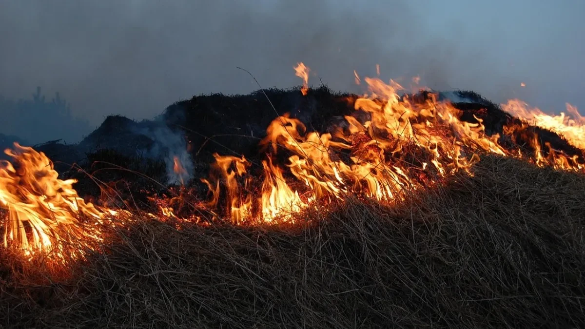 Požar koji je izbio u Crnoj Gori proširio se i u Hrvatsku