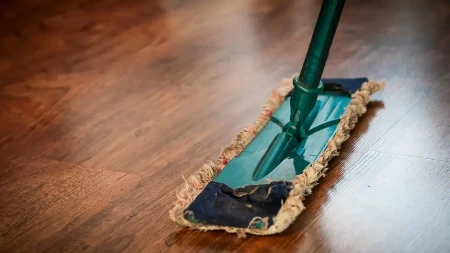 Evo kako je Korejkama kuća uvijek čista: Nikad se ne umore, a dom im svaki dan blista!