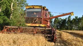 Žetva u Lijevče polju u punom jeku: Prinosi dobri, ova godina bi mogla biti rodna