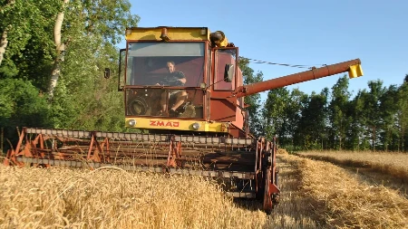 Žetva u Lijevče polju u punom jeku: Prinosi dobri, ova godina bi mogla biti rodna