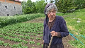 „Ja da se pitam, lokale bih zatvorila u ponoć“: Hercegovačka baka Matija (87) o radu, mladima i vremenima kada su ljudi bili zadovoljniji (VIDEO)